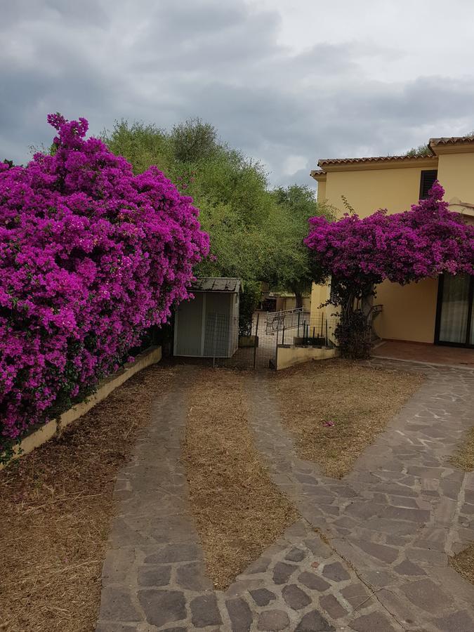 Villa Dettori San Teodoro  Zewnętrze zdjęcie