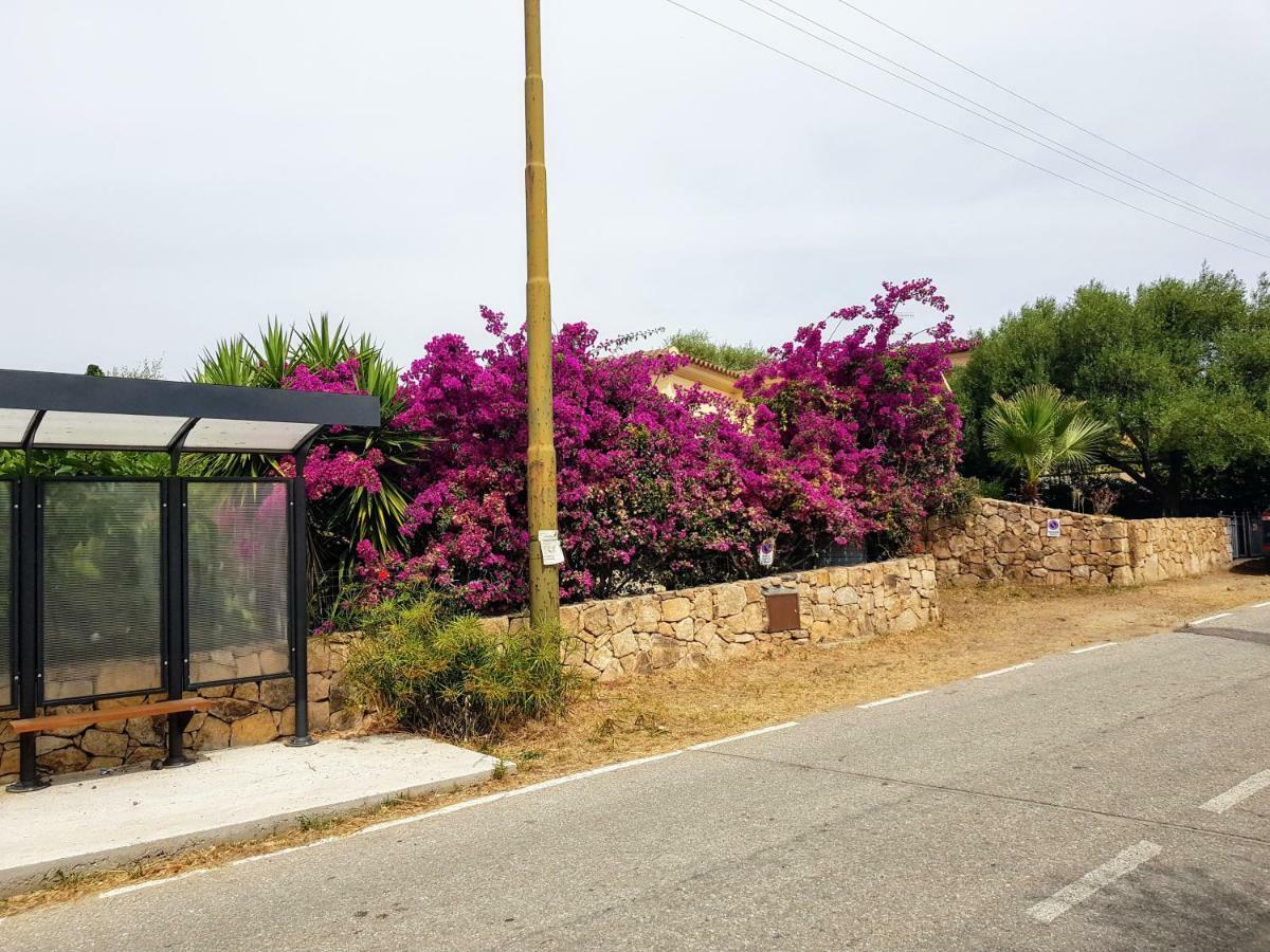 Villa Dettori San Teodoro  Zewnętrze zdjęcie