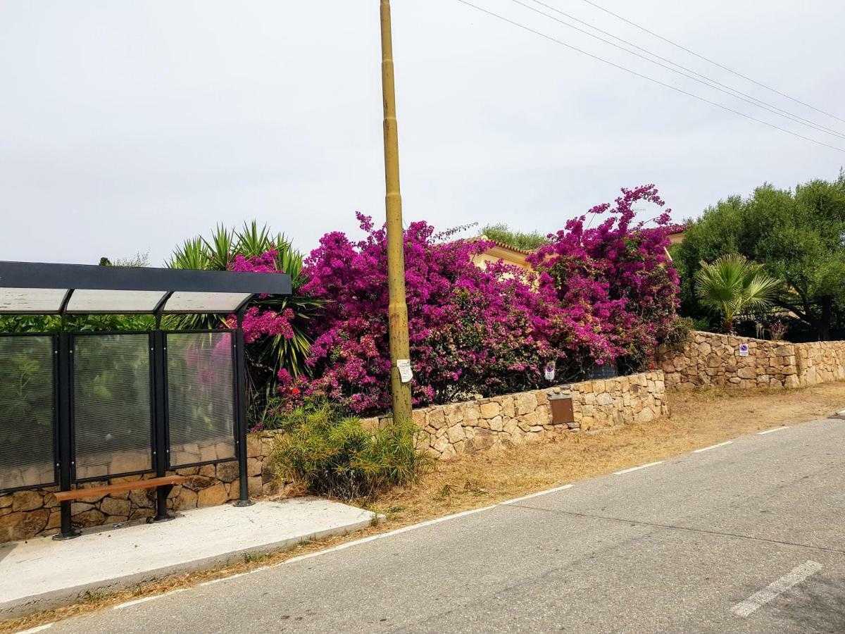 Villa Dettori San Teodoro  Zewnętrze zdjęcie